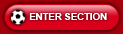 Enter Section